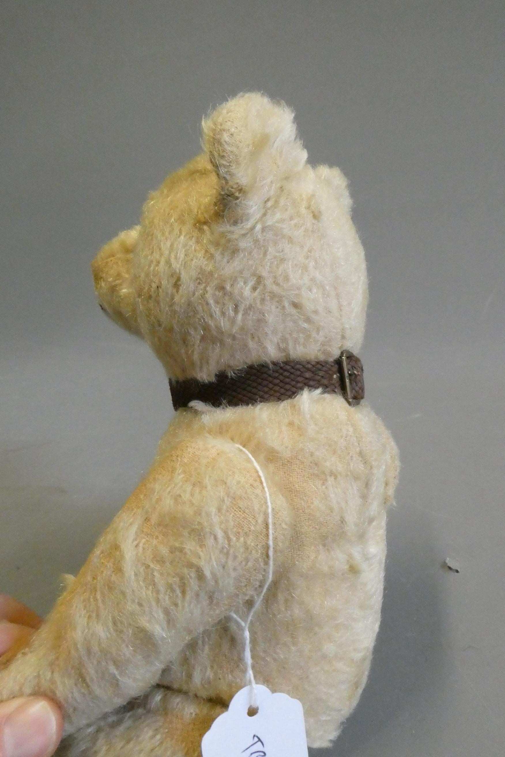 A possible Steiff growling teddy bear, 1940s, straw filled, with light blond plush Image