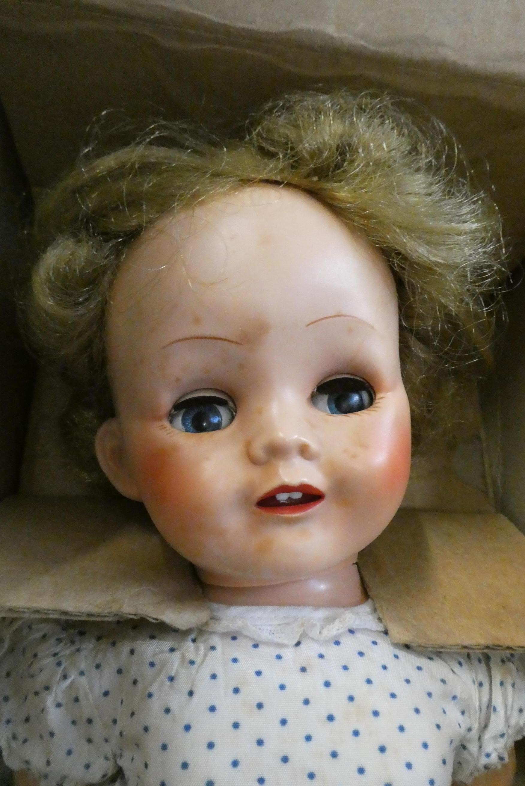 Two Pedigree dolls, both in original blue Pedigree boxes, largest doll 18" long Image