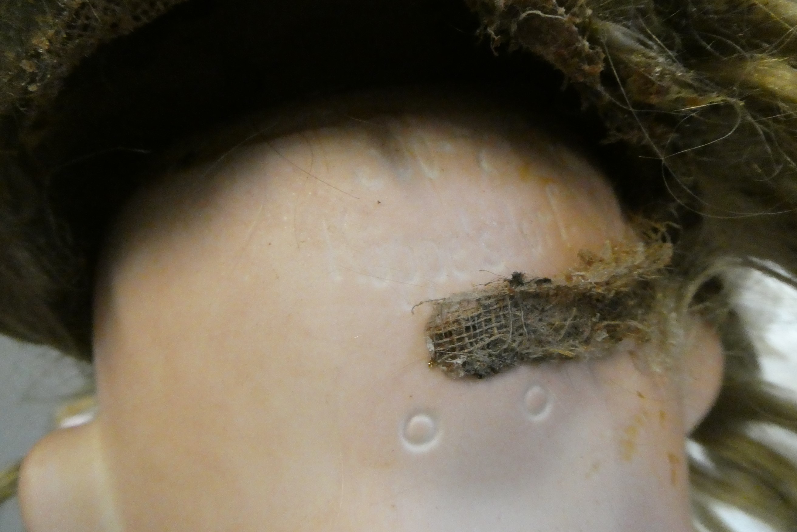 A Heubach Koppelsdorf bisque socket head character doll Image