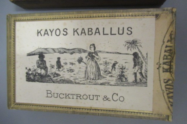 A box of 25 Marcella Chica cigars Image