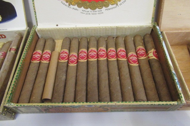 A collection of cigars Image