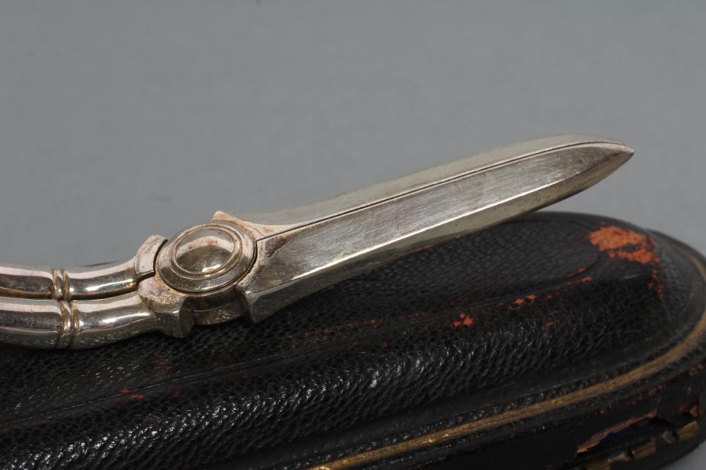 A PAIR OF LATE VICTORIAN SILVER GRAPE SCISSORS Image