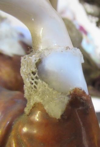 A SAMSON PORCELAIN FIGURE GROUP Image