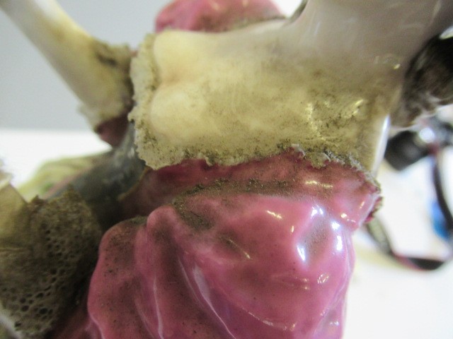 A SAMSON PORCELAIN FIGURE GROUP Image