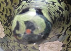 A JAPANESE CLOISONNE ENAMEL TRIPOD CENSOR AND COVER of two handled lobed ovoid form with arcade Image