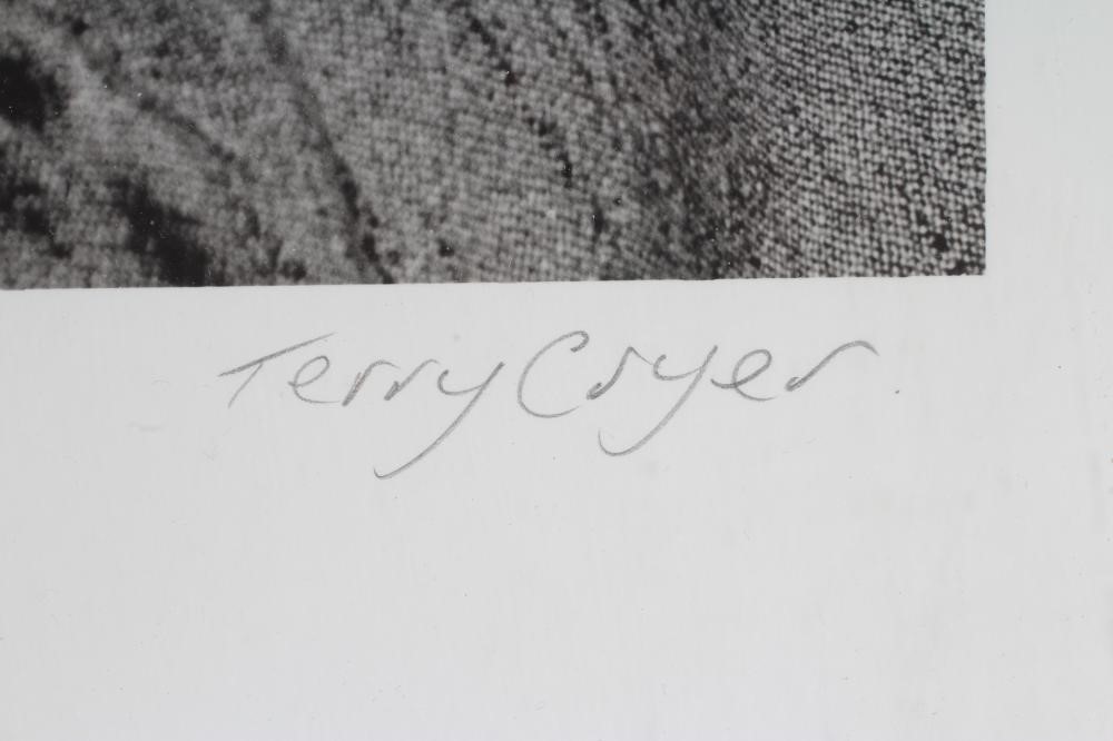 TERRY CRYER (1933-2017) Image