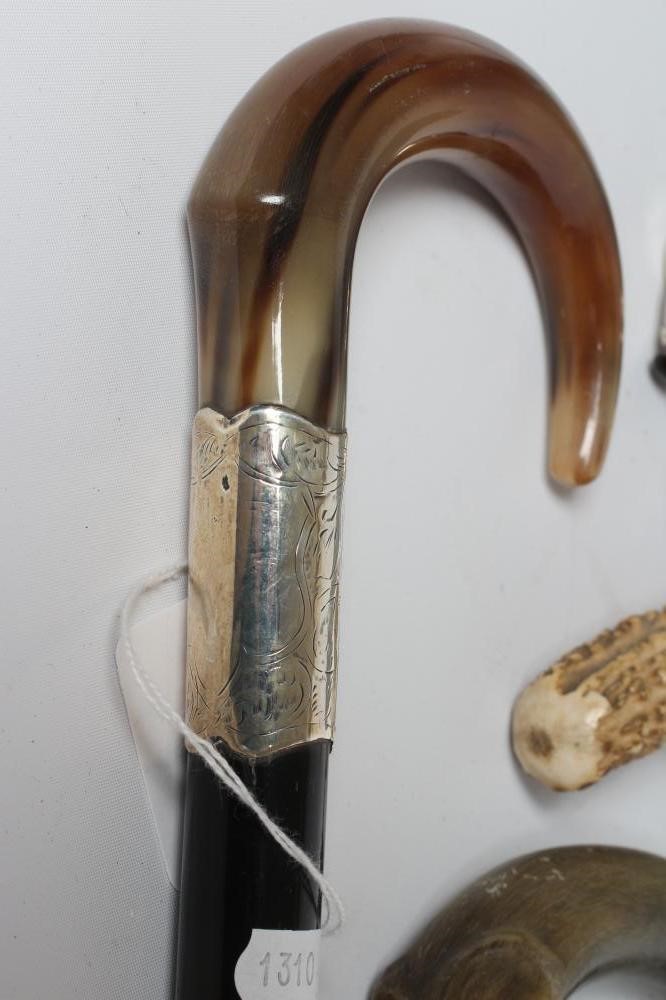 A LATE VICTORIAN WALKING STICK Image