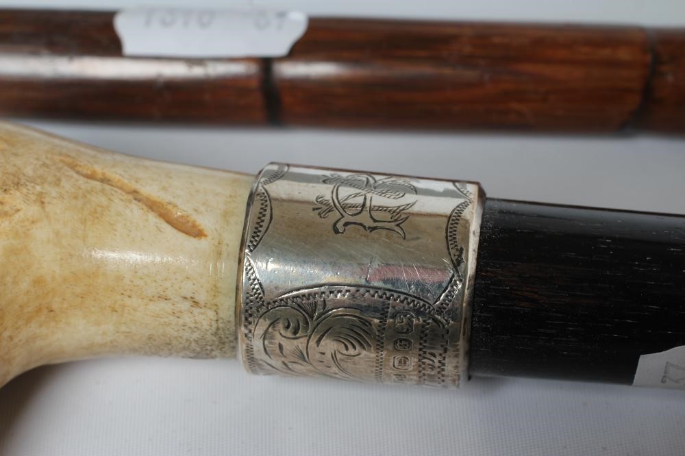 A LATE VICTORIAN WALKING STICK Image