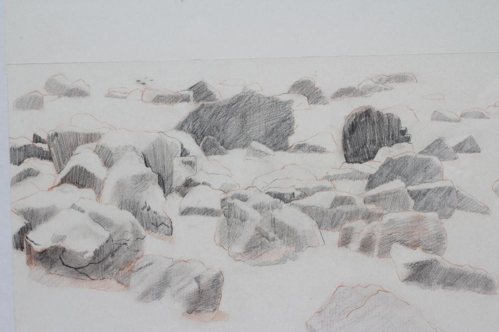 ALEXANDRA GARDNER (Scottish b.1945) Image