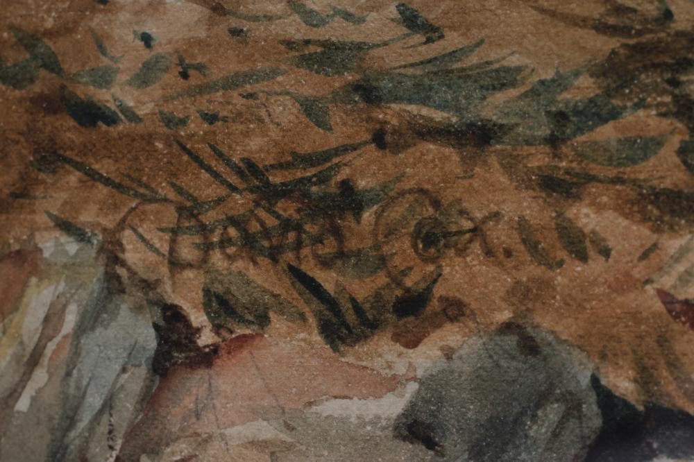 DAVID COX (1809-1885) Image