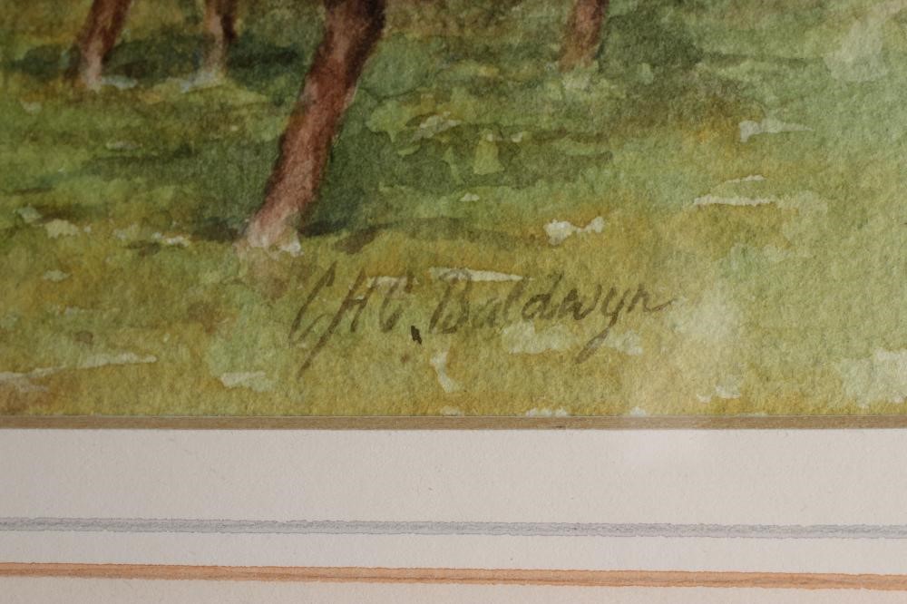 CHARLES HENRY CLIFFORD BALDWYN (1859 -1943) Image