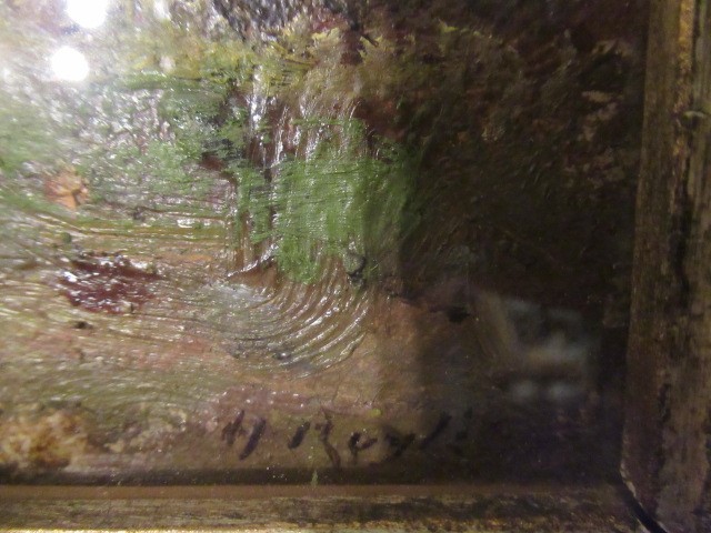 HERBERT F ROYLE (1870-1958) Image