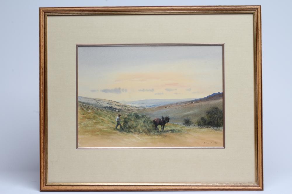 BRIAN IRVING (1931-2013) Image