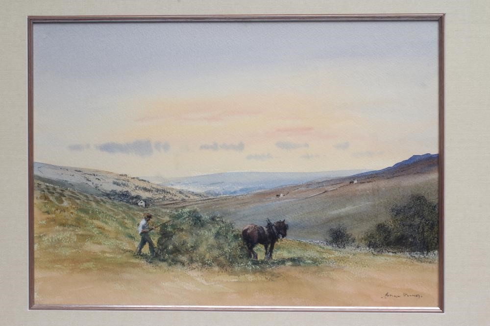 BRIAN IRVING (1931-2013) Image