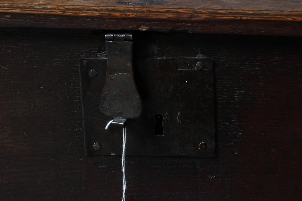 AN OAK BOARDED CHEST Image