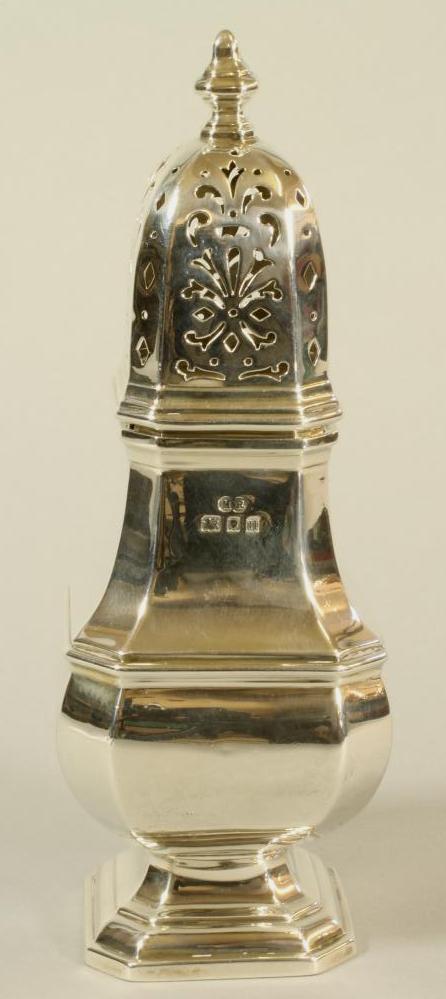 A SILVER SUGAR CASTOR Image