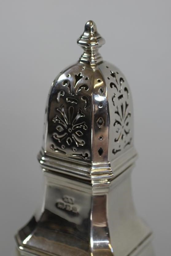 A SILVER SUGAR CASTOR Image