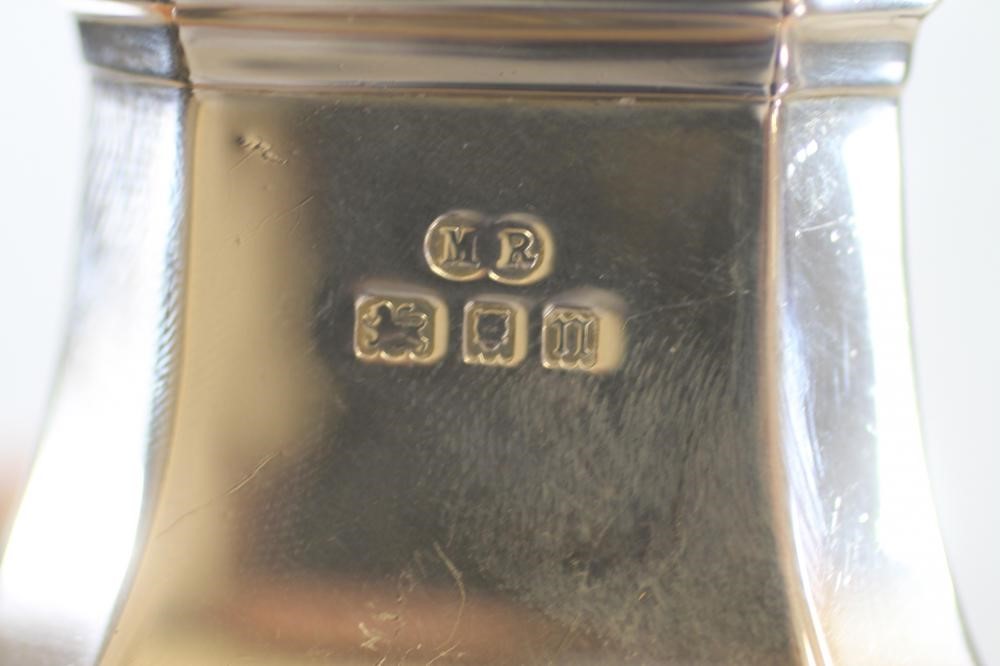 A SILVER SUGAR CASTOR Image