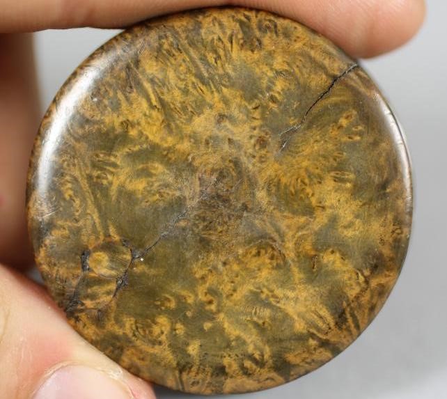 A GEORGIAN PRESSED YEW WOOD SNUFF BOX AND COVER Image