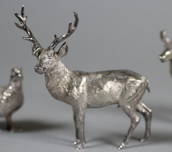 A SILVER STAG Image