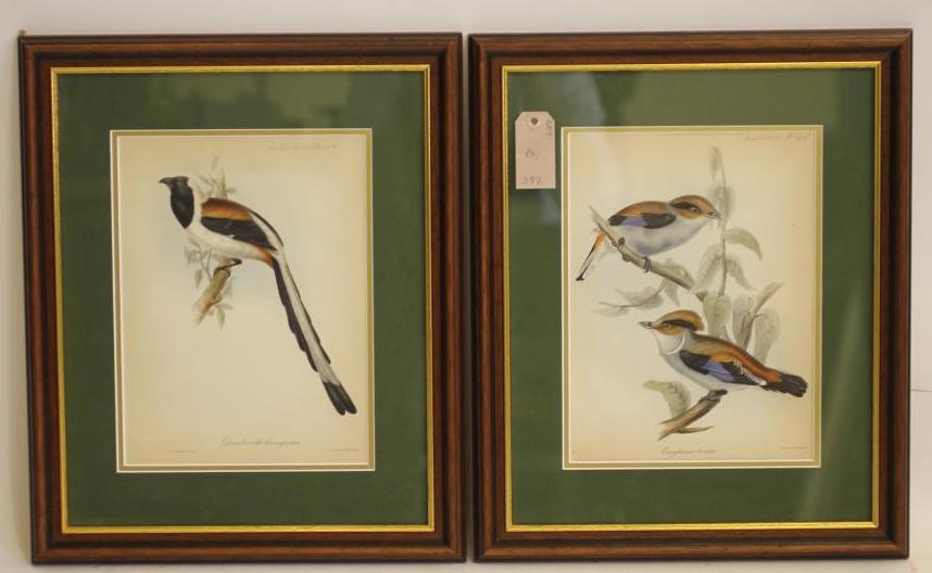 JOHN AND ELIZABETH GOULD (19th Century) Image