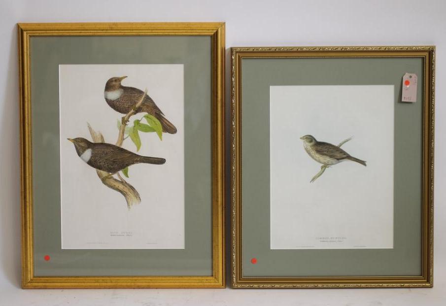 JOHN AND ELIZABETH GOULD (19th Century) Image