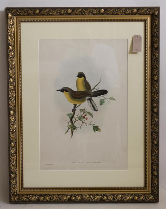 JOHN GOULD AND WILLIAM M HART (19th Century) Image