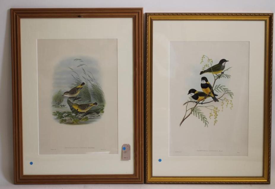 JOHN GOULD AND WILLIAM HART (19th Century) Image