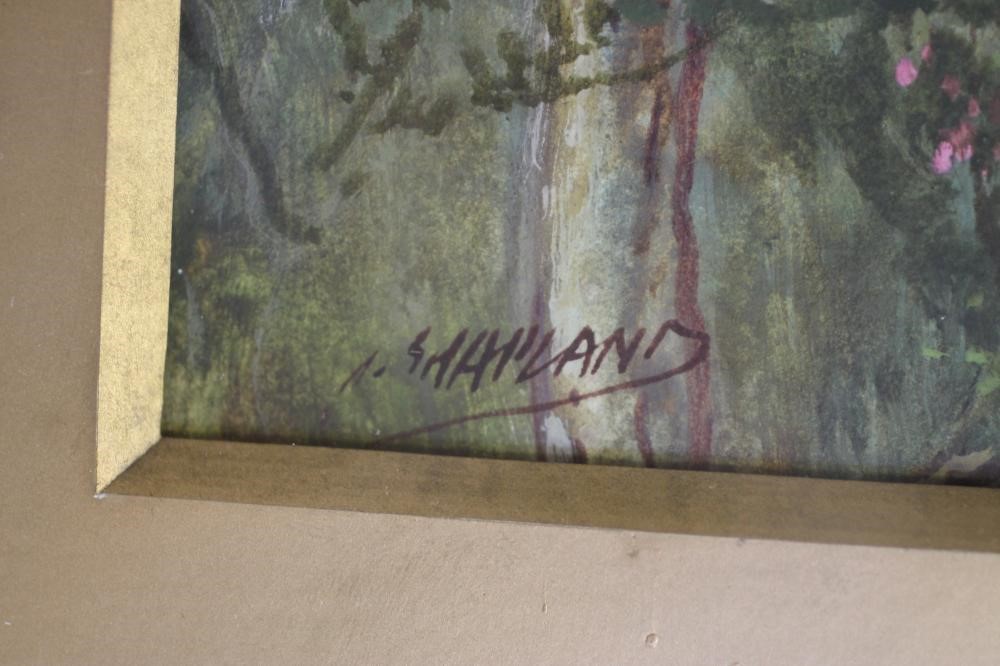 JOHN SHAPLAND (1865-1929) Image