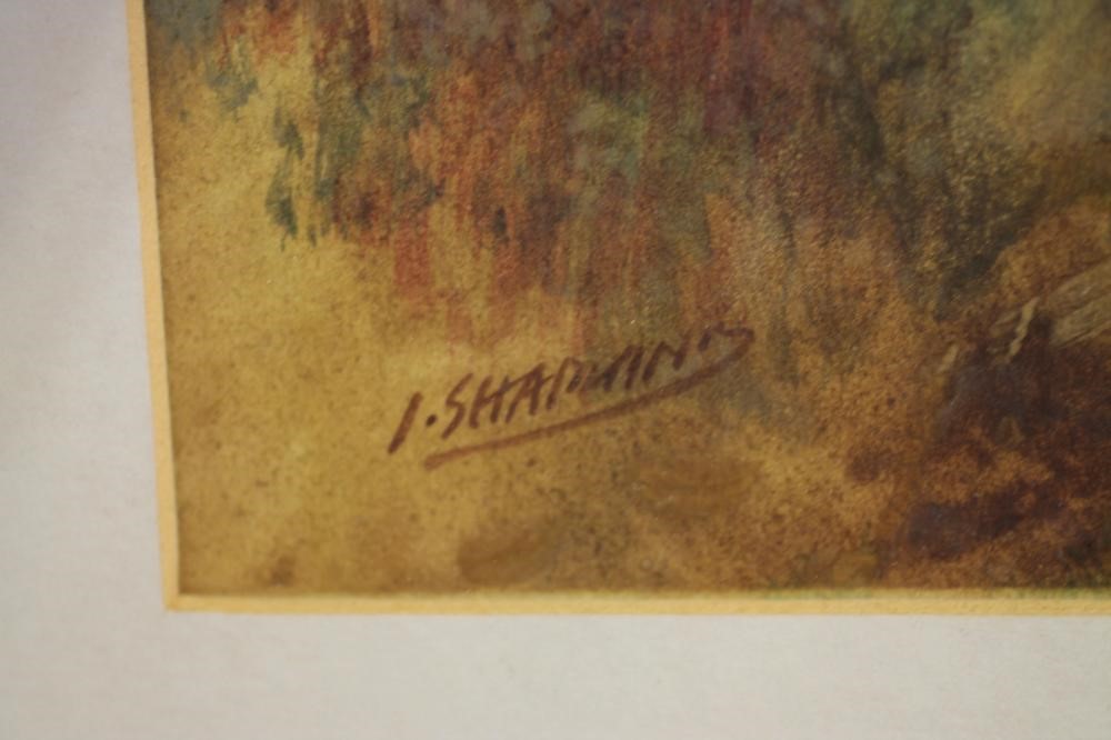 J SHAPLAND (1865-1929) Image