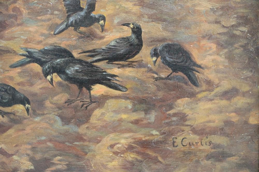 E CURTIS (19th Century) Image