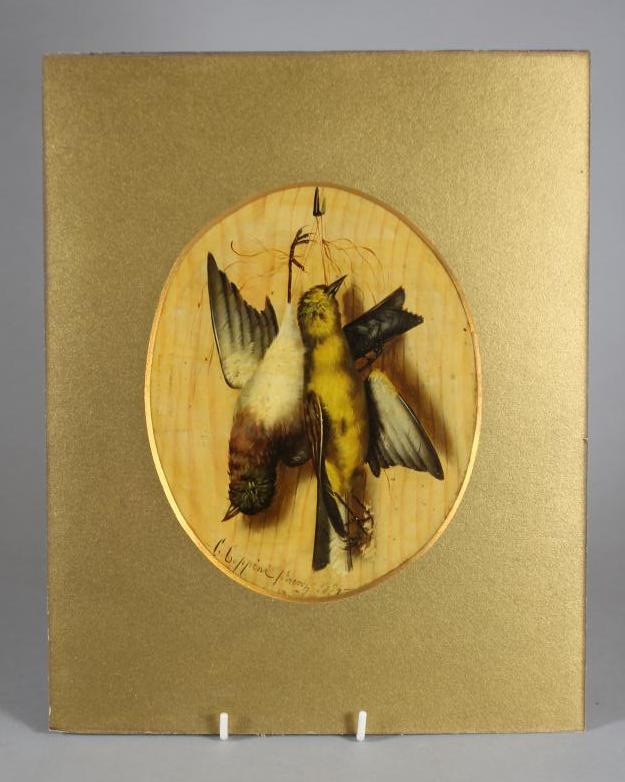 C COPPINI? (Italian Image