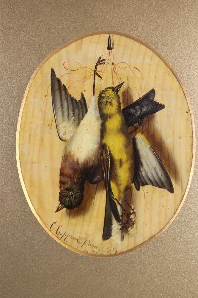 C COPPINI? (Italian Image