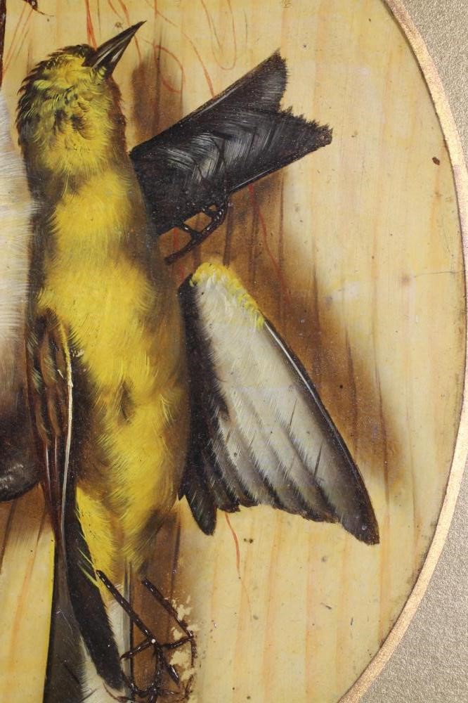 C COPPINI? (Italian Image