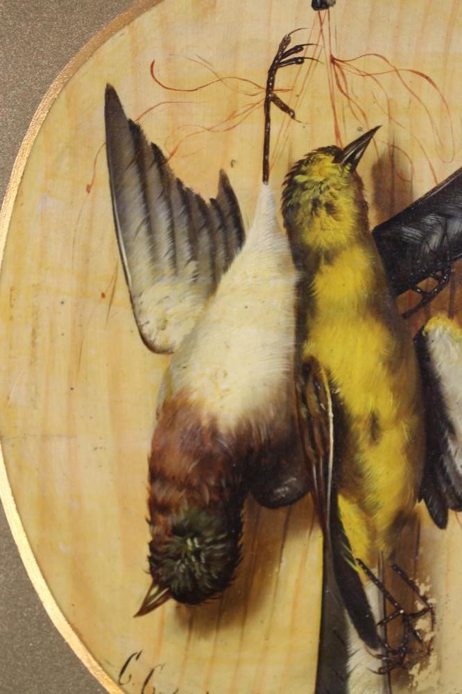 C COPPINI? (Italian Image