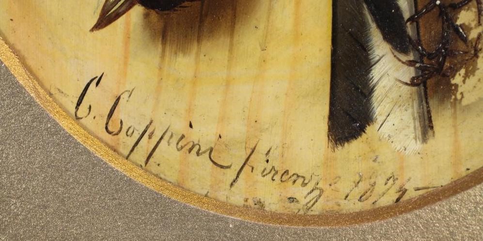 C COPPINI? (Italian Image