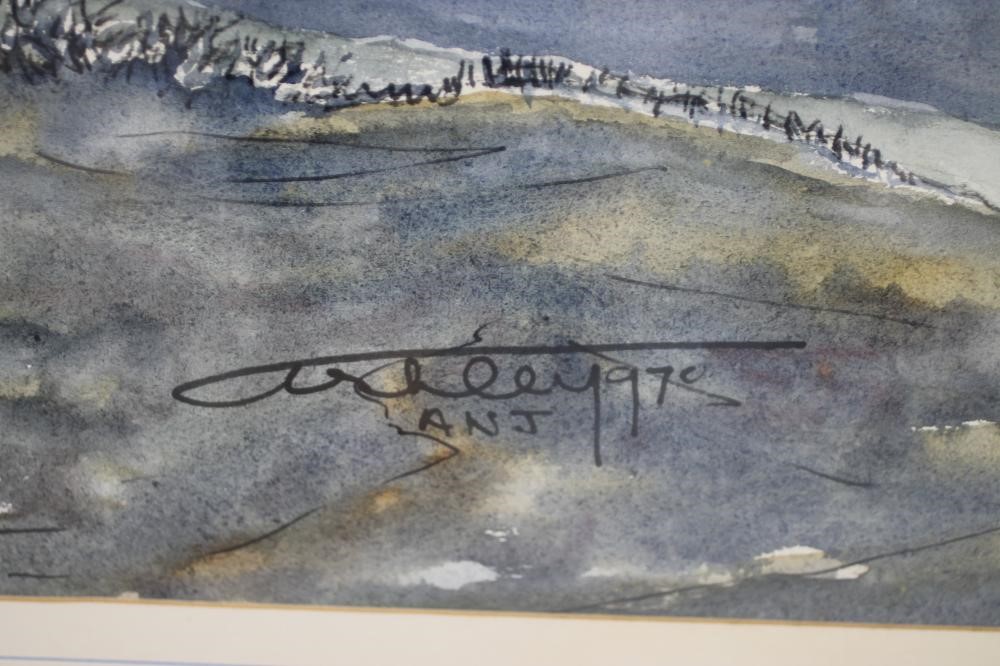 ‡ASHLEY N JACKSON F.R.S.A. (b.1940) Image