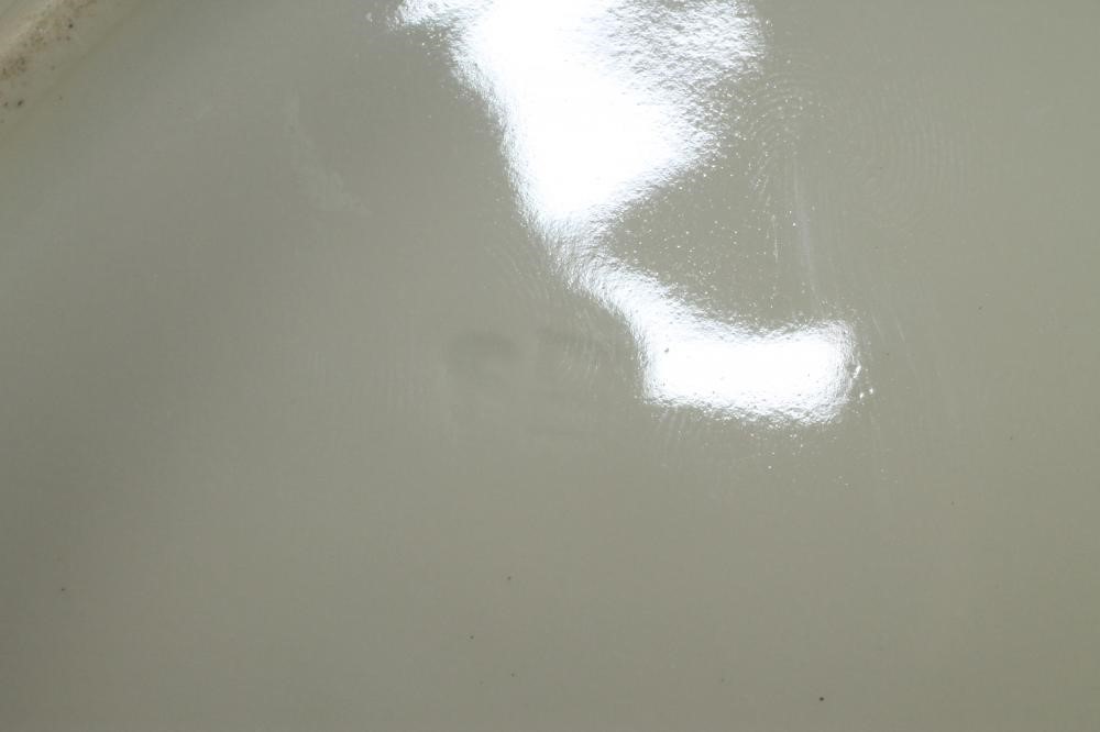 A VIENNA PORCELAIN CABINET PLATE Image