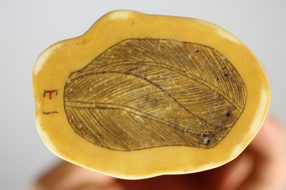 A JAPANESE ONE PIECE IVORY OKIMONO Image