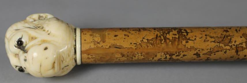 A VICTORIAN WALKING STICK Image