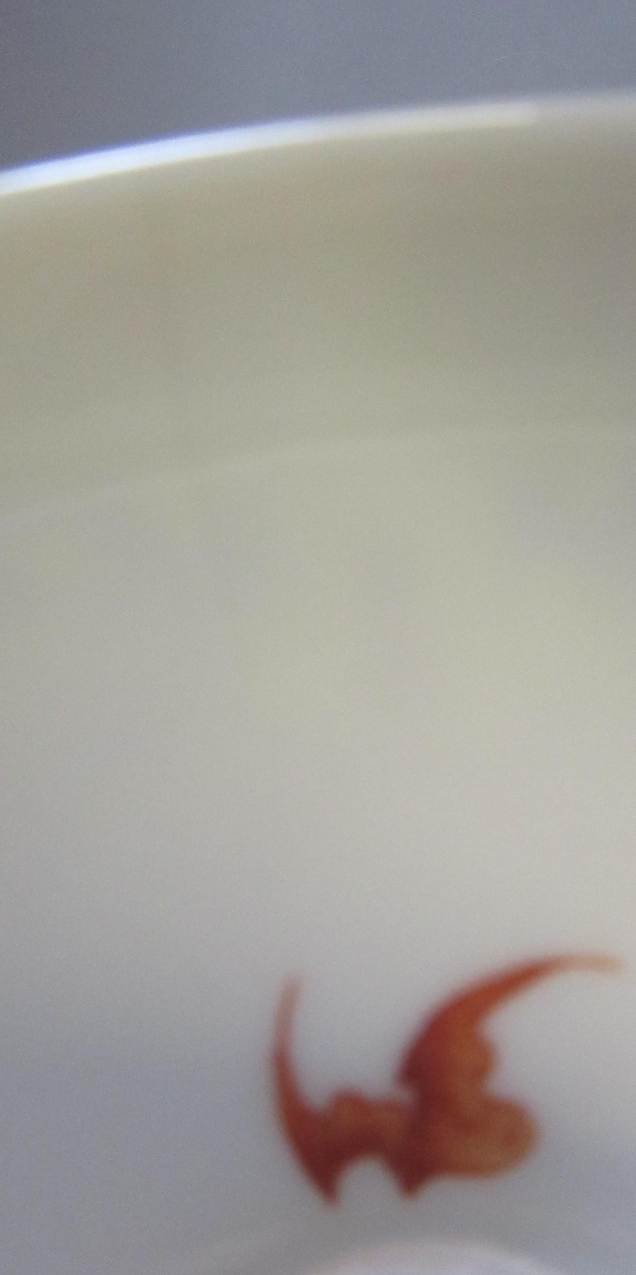A CHINESE PORCELAIN SMALL BOWL of plain circular form Image