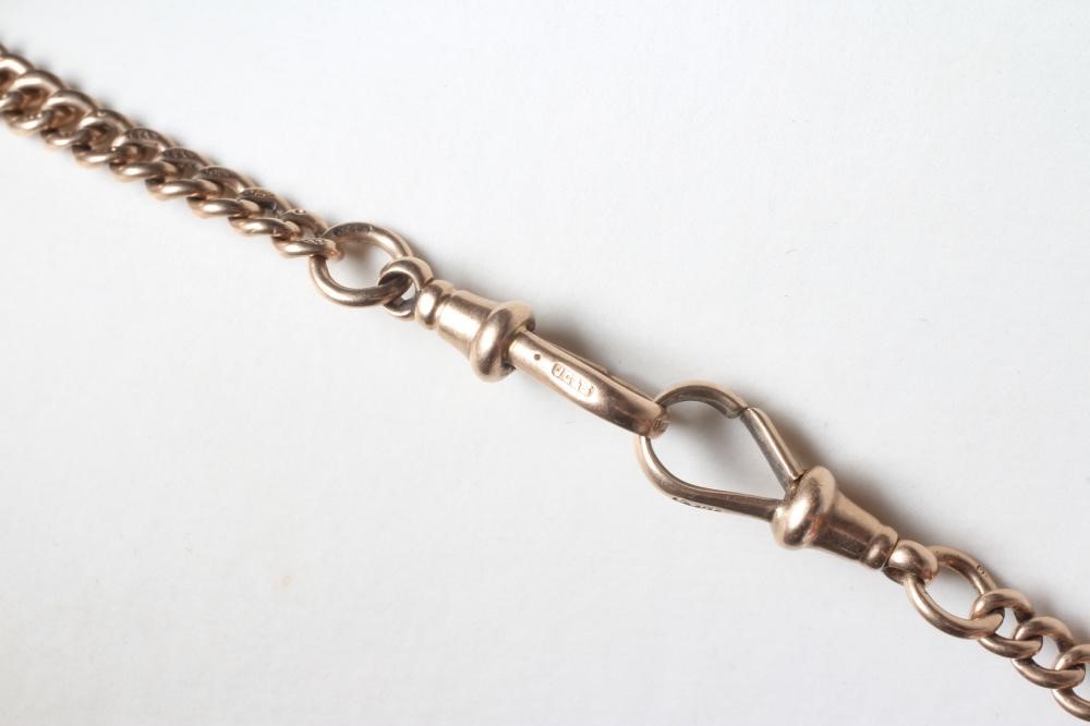 A DOUBLE ALBERT CHAIN Image