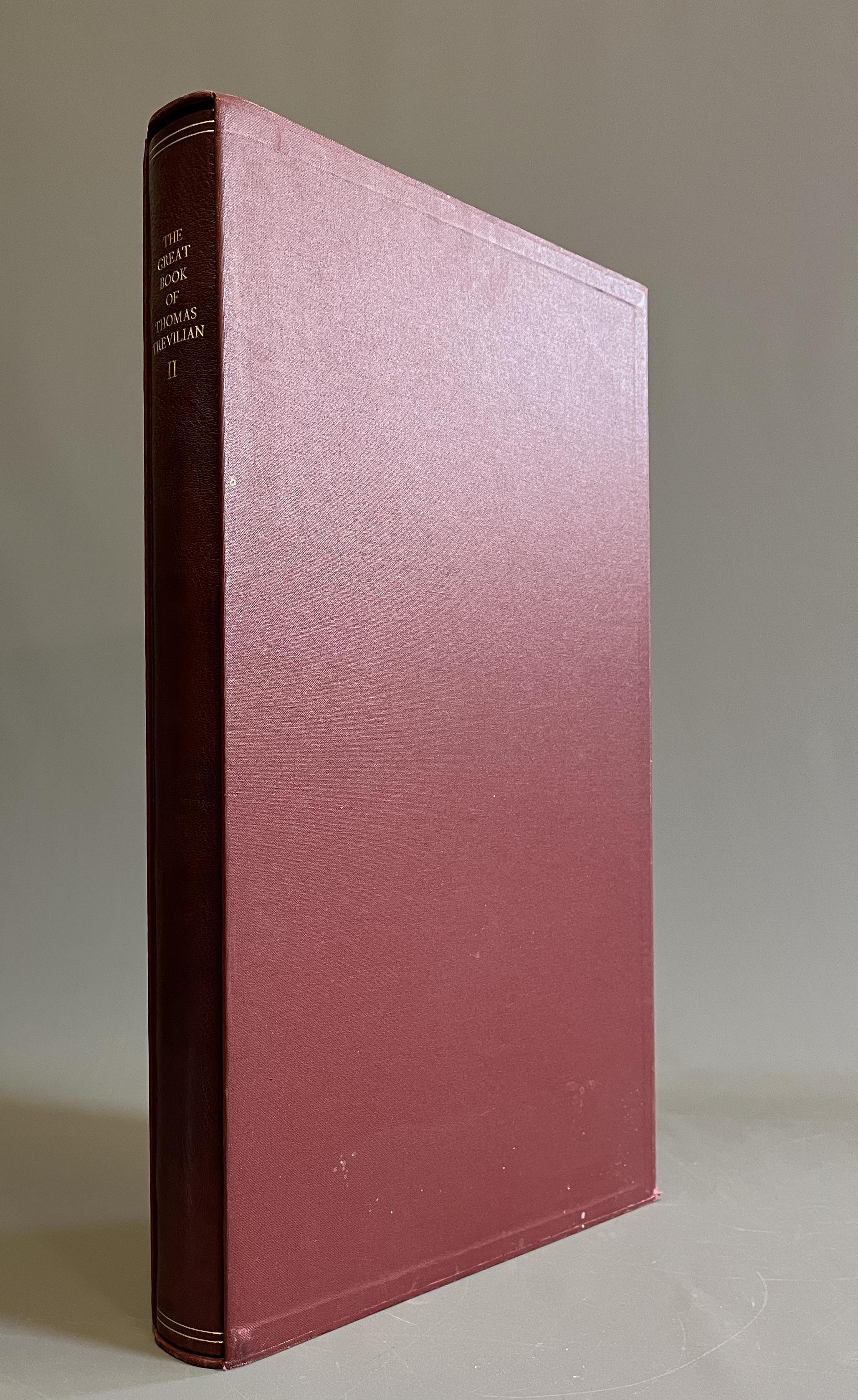 THE GREAT BOOK OF THOMAS TREVILIAN Image