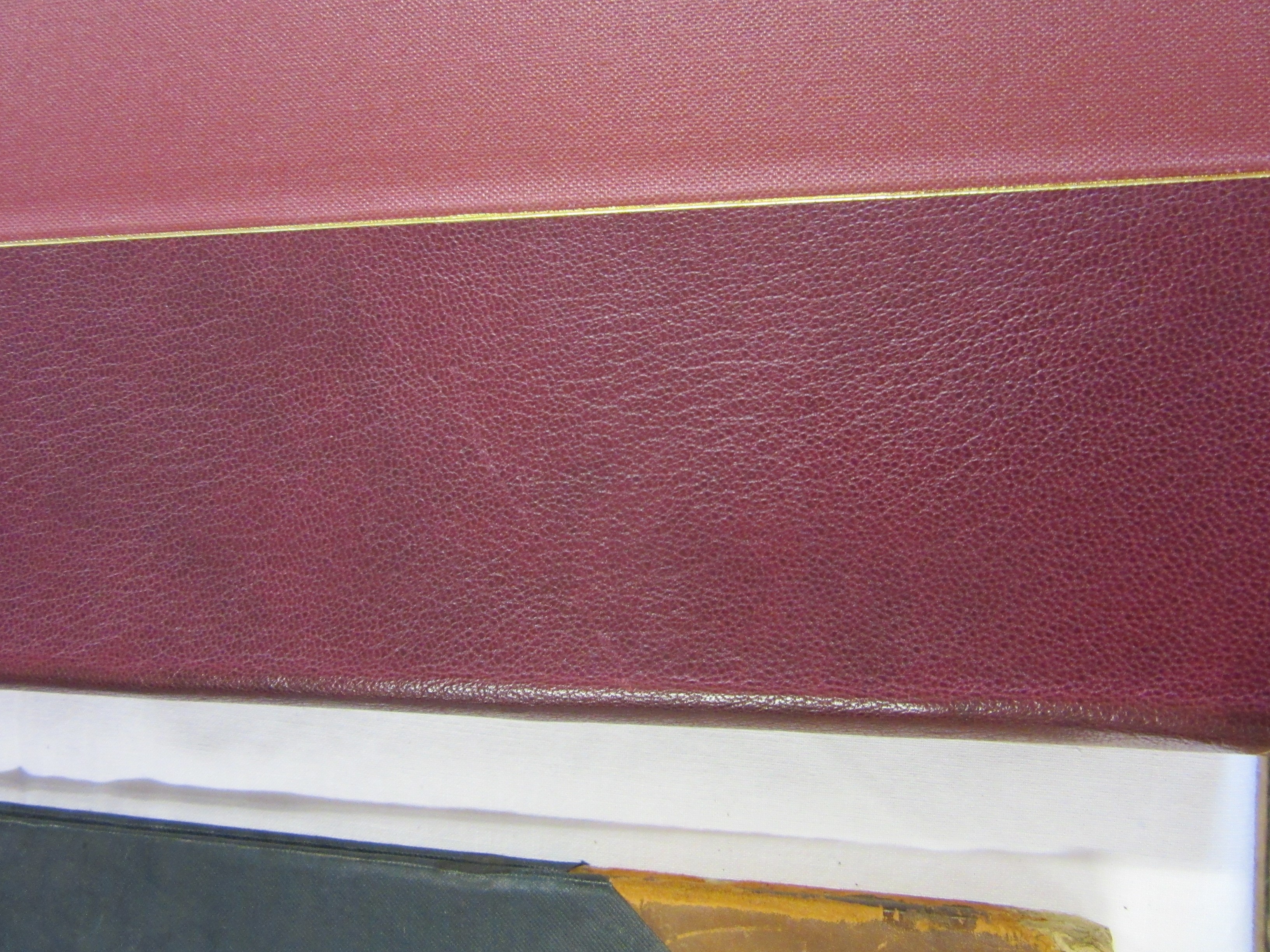 THE GREAT BOOK OF THOMAS TREVILIAN Image