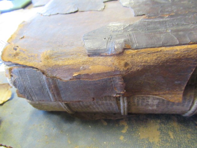 ERASMUS Image