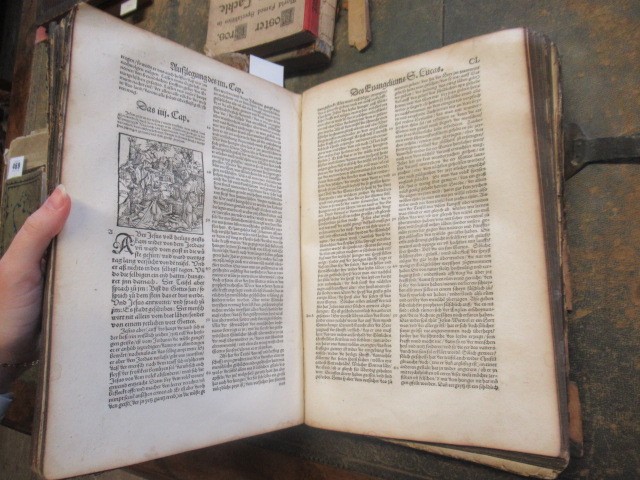 ERASMUS Image