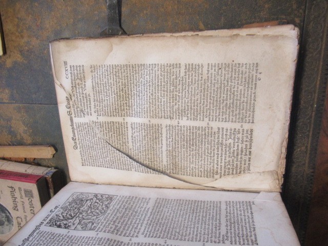 ERASMUS Image