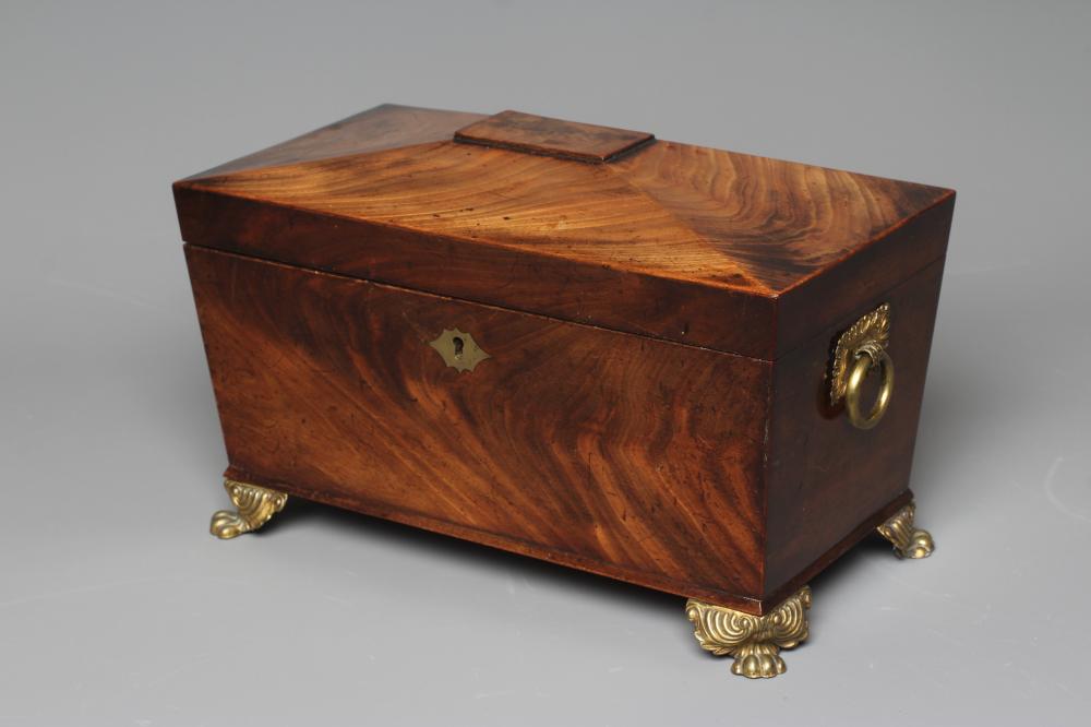 A REGENCY ROSEWOOD SARCOPHAGUS TEA CADDY with ring handles to each side and raised on brass lion paw Image