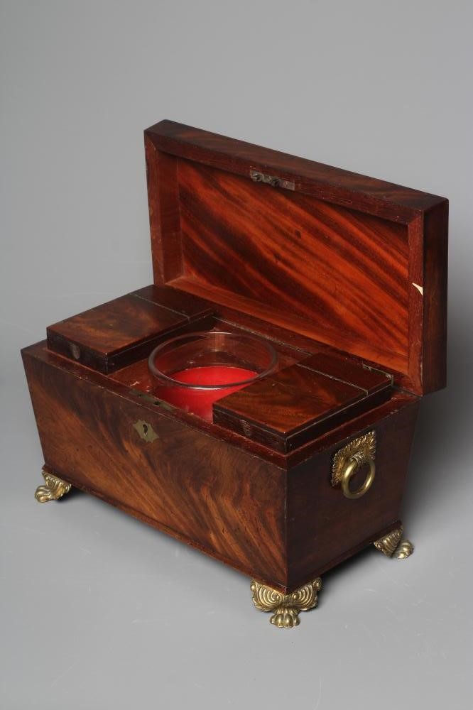 A REGENCY ROSEWOOD SARCOPHAGUS TEA CADDY with ring handles to each side and raised on brass lion paw Image