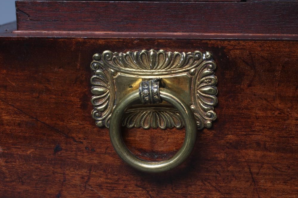 A REGENCY ROSEWOOD SARCOPHAGUS TEA CADDY with ring handles to each side and raised on brass lion paw Image